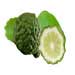 kaffir lime 