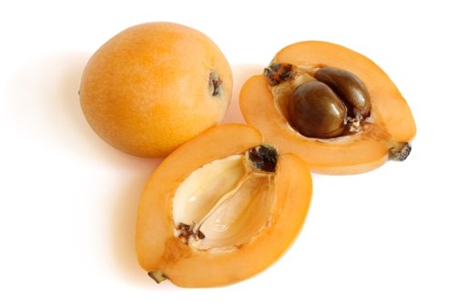 Loquat