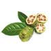 morinda