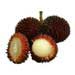 Pulasan