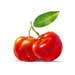 acerola