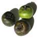black sapote