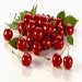 cherry