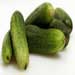 Cucumber