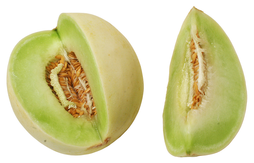 honeydew