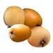 Loquat