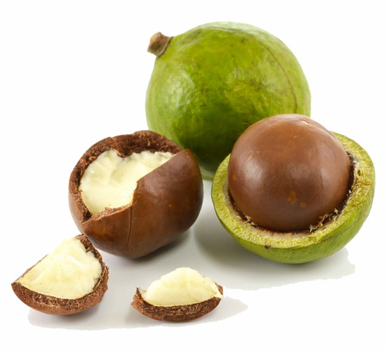 macadamia