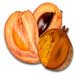 mamey sapote