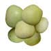 Marula