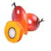 oil palm