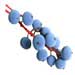 Oregon grape