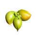 peanut butter fruit