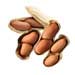 peanut