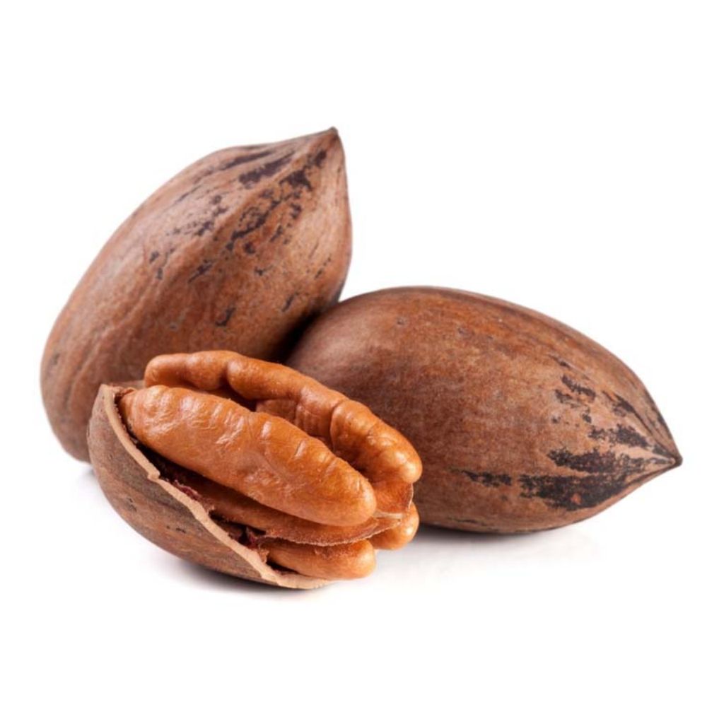 pecan