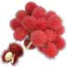 rambutan