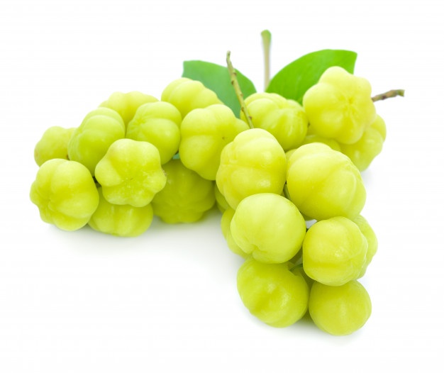 star gooseberry