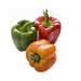 sweet pepper