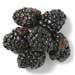 youngberry