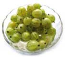 gooseberry