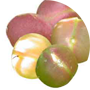 ground-plum