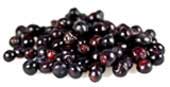 Huckleberries