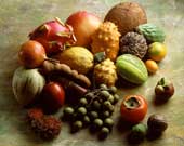 Fruits by season