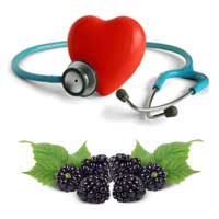 boysenberry nutrient content boysenberry nutrient content