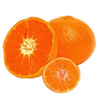 fairchild tangerine nutrition fairchild tangerine nutrition