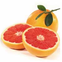 grapefruit grape fruit
