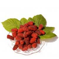 tay berry