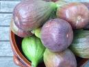 Figs Figs