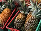 Pineapple Pineapple