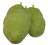 fruits