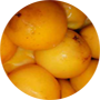 jelly-palm