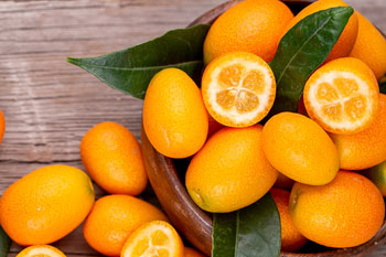  kumquat winter fruit1