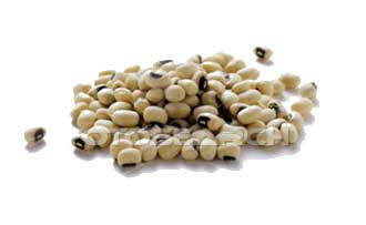 legumes