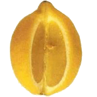 lemon-sour juicy fruit
