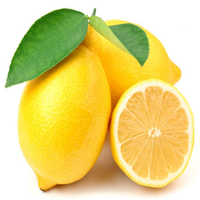 interdonato lemons