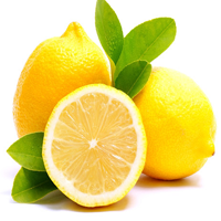 verna lemons
