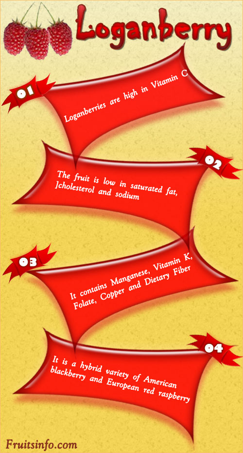 Loganberry Infographics Loganberry infographics