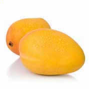 Mango-sweet summer fruit