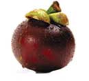mangosteen