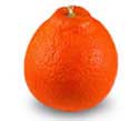 minneola