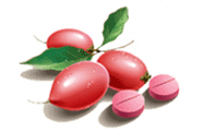Miracle fruit health benefits Miracle fruit health benefits