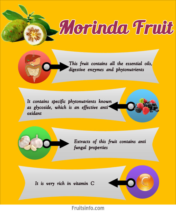 morinda infographics