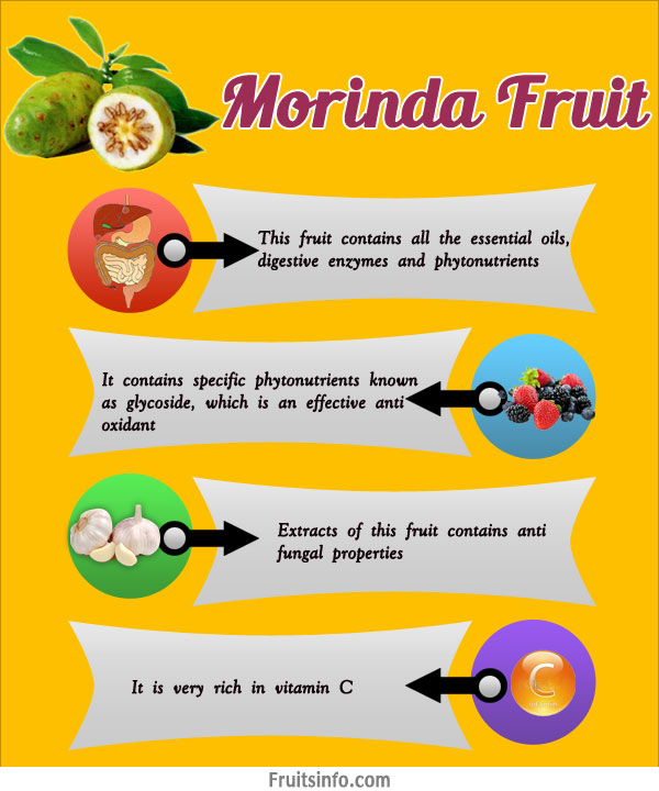 Morinda Infographics morinda infographics