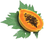 Papaya-fruit