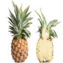 Pineapple-scaly sweet fruit