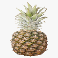 abacaxi pineapple