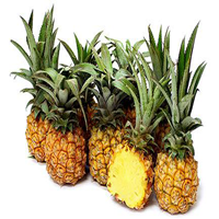 james queen pineapple